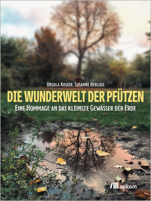 cover image of Die Wunderwelt der Pfützen